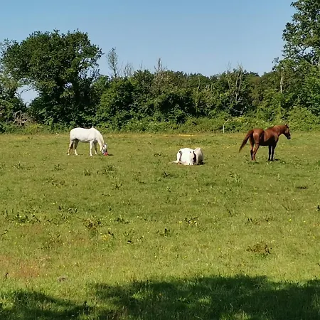 Vakantiehuis Les Cerisiers Du Rouz *